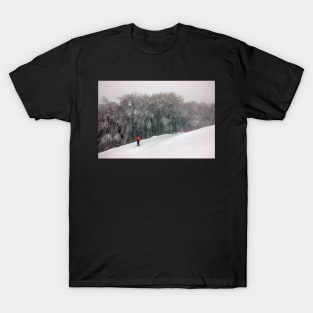 There goes the old year (here comes the new one) T-Shirt